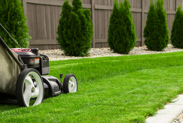 tonte de jardin à Blagnac en Haute Garonne 31